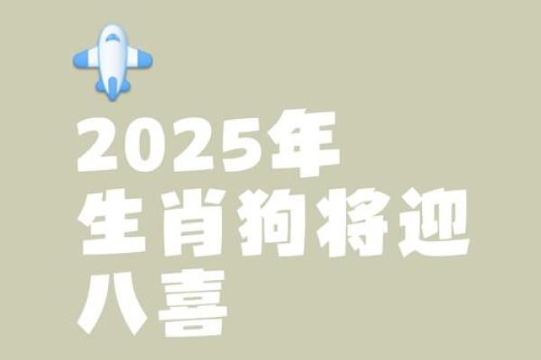 属狗女今天打牌的运气_2025属狗要小心一个人 属狗女今天打牌的运气_2025属狗要小心一个人