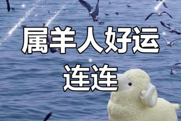 79年属羊44岁2023年运势 79年属羊2023年运势及运程每月运程灵机