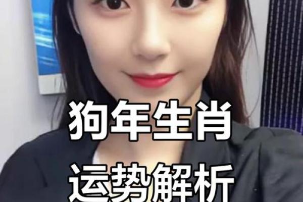 2025年属狗运势解析94年出生者全年运程详解 2025年属狗运势解析94年出生者全年运程详解