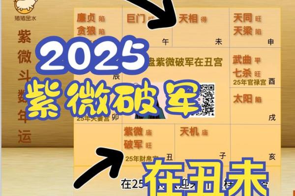 2025年4月2日子时女命紫微斗数全解盘 2025年4月2日子时女命紫微斗数全解盘