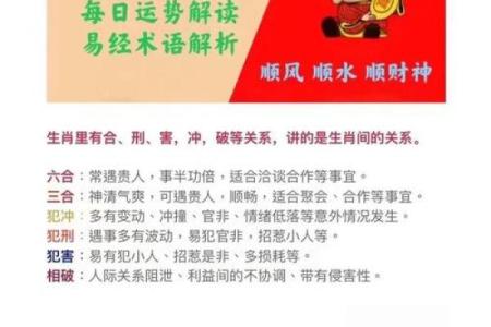 神州大地是什么生肖(神州大地是意思)