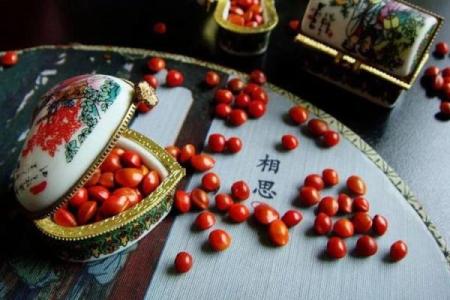 并蒂芙蓉是什么生肖(并蒂芙蓉的意思和造句)