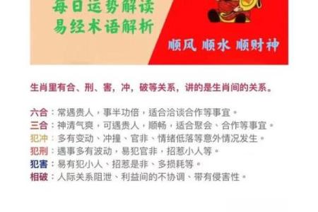 月晕主风是什么生肖(月晕意思)