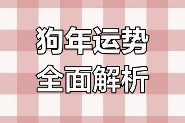 属狗蛇年运势2025年_2025年属狗蛇年运势解析财运事业爱情全攻略 属狗蛇年运势2025年_2025年属狗蛇年运势解析财运事业爱情全攻略