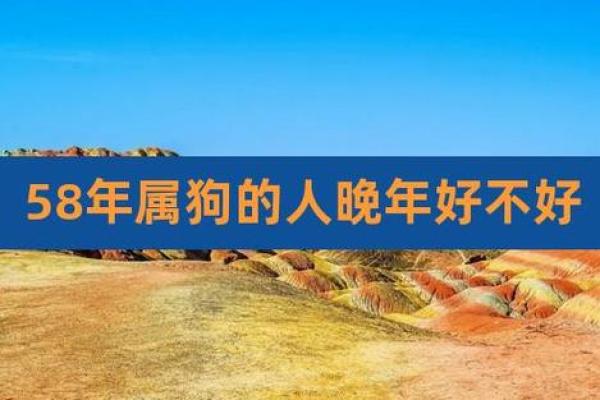 58年的狗是什么命五行属什么呢_58年的狗属于什么命 58年的狗是什么命五行属什么呢_58年的狗属于什么命