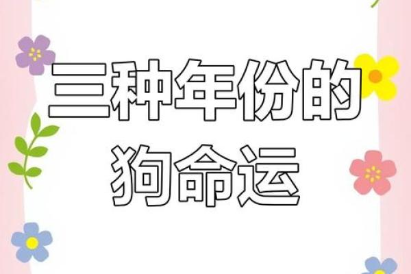58年的狗是什么命五行属什么呢_58年的狗属于什么命 58年的狗是什么命五行属什么呢_58年的狗属于什么命