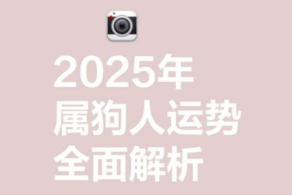 2025属狗每月运势_2025属狗每月运势运程详解 2025属狗每月运势_2025属狗每月运势运程详解