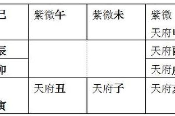 2025年4月9日午时女命紫微斗数全解盘