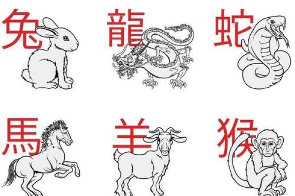 1994年属什么生肖 1994年属什么生肖