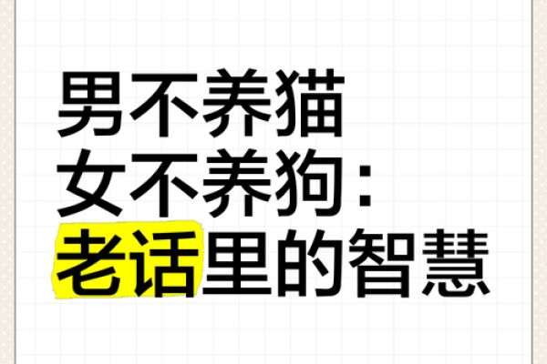 属狗男离不开的女人_属狗男离不开的女人会怎么样
