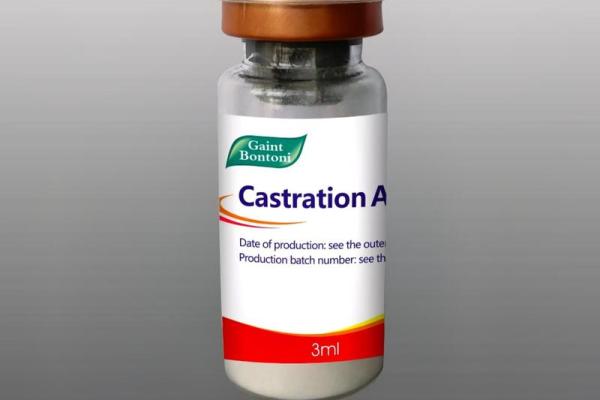 挑针打眼是什么生肖(俗称挑针的眼疾用什么药)