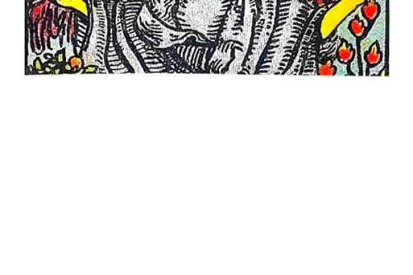 双子11月塔罗爱情运势(塔罗占卜双子十一月)