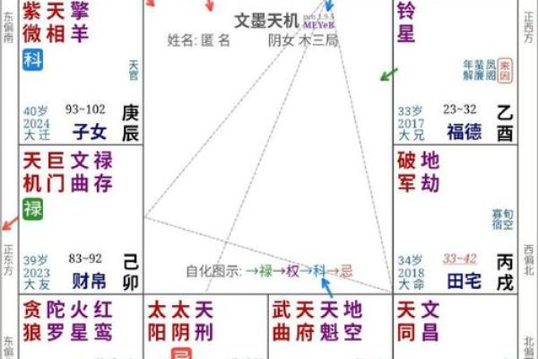 2025年4月4日寅时女命紫微斗数全解盘