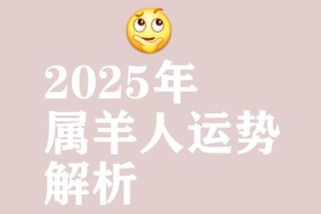 79羊人2025年全年运势详解_79羊人2025年运势详解全年运程大揭秘