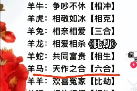 属龙和属羊的婚配怎么样_属龙跟属羊的婚配吗