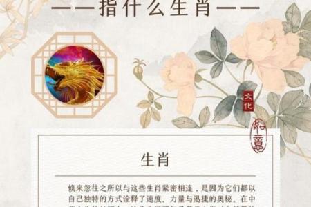 口若悬河是什么生肖