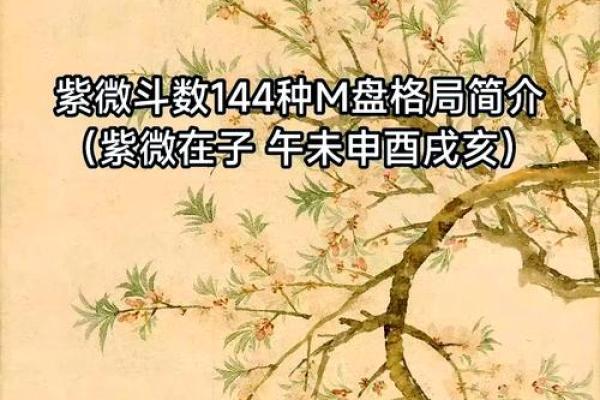 2025年4月4日酉时男命紫微斗数全解盘 2025年4月4日酉时男命紫微斗数全解盘