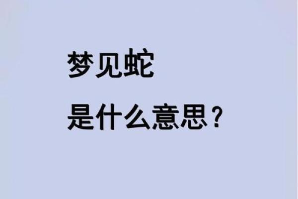 梦见猫吃蛇是什么预兆 梦见猫吃蛇是什么预兆