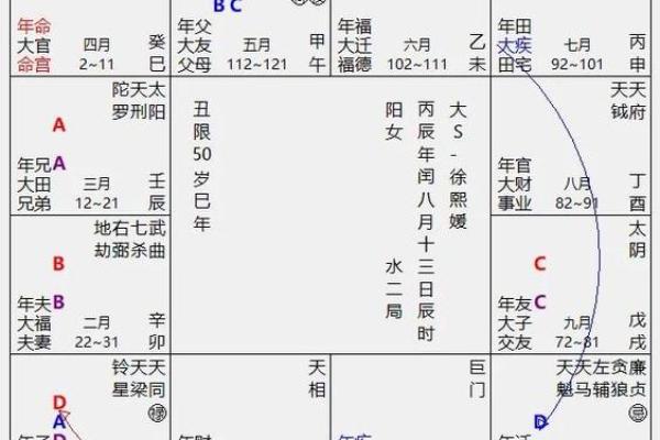 2025年4月6日卯时男命紫微斗数全解盘 2025年4月6日卯时男命紫微斗数全解盘