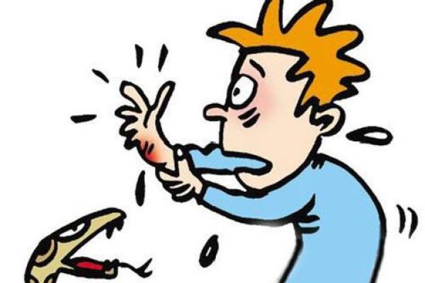 梦见被蛇咬是什么预兆男人 梦见被蛇咬是什么预兆男人