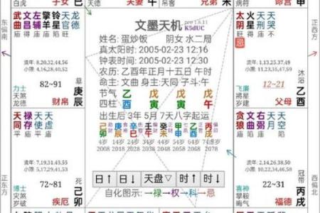 2025年4月12日巳时女命紫微斗数全解盘