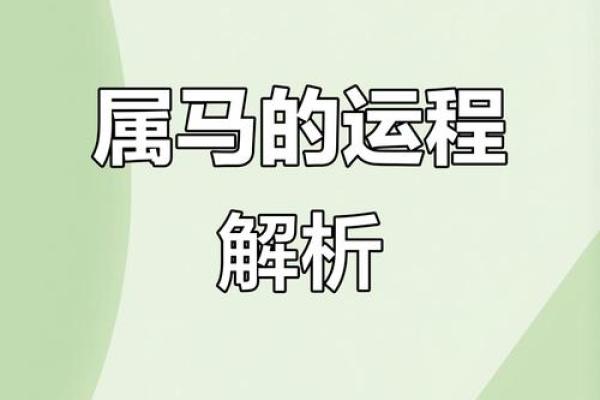 1978年属马女今年的运气如何_1978年属马女2024年运势解析事业财运健康全指南 1978年属马女今年的运气如何_1978年属马女2024年运势解析事业财运健康全指南