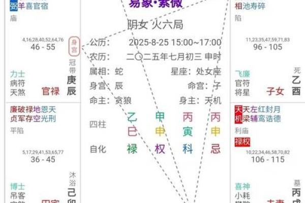 2025年4月23日酉时女命紫微斗数全解盘 2025年4月23日酉时女命紫微斗数全解盘