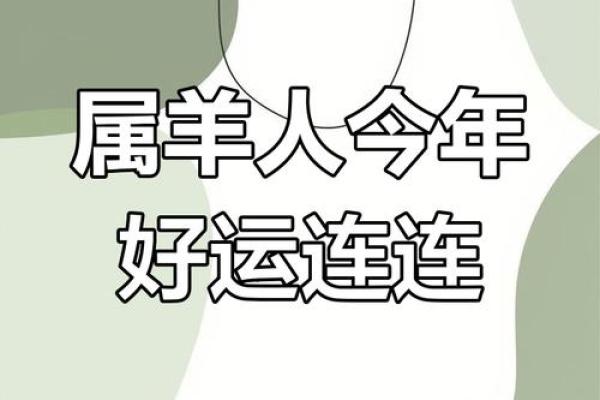属羊人2025年运势运程_属羊人在2024年全年运势运程