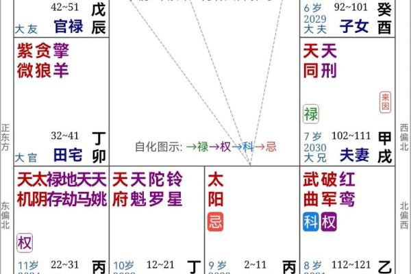 2025年4月11日寅时男命紫微斗数全解盘 2025年4月11日寅时男命紫微斗数全解盘