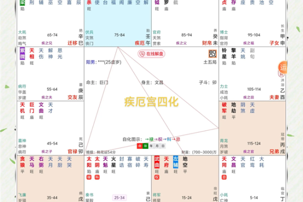 2025年4月9日丑时女命紫微斗数全解盘