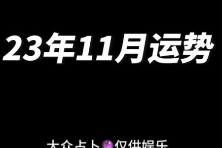 塔罗牌星座运势解析2023年你的命运走向