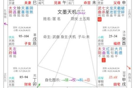 2025年4月3日戌时女命紫微斗数全解盘
