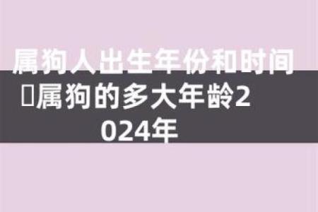 属狗的多大了岁数表 属狗年龄对照表2023年最新岁数查询
