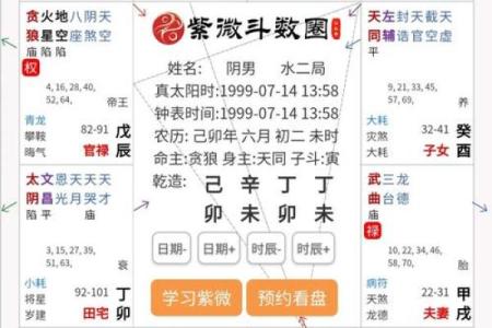 2025年4月14日巳时男命紫微斗数全解盘