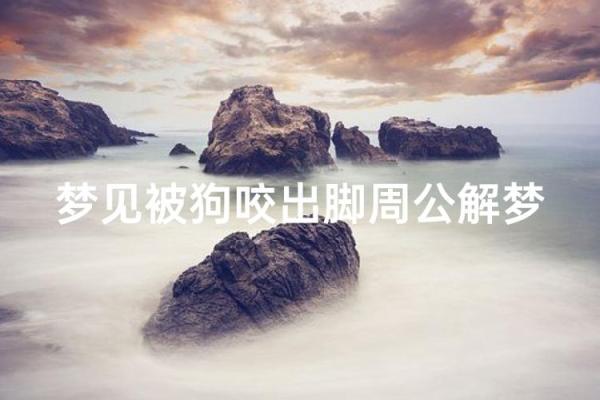 梦见狗狗是什么预兆周公解梦
