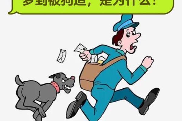 女人梦见狗咬出血有什么预兆