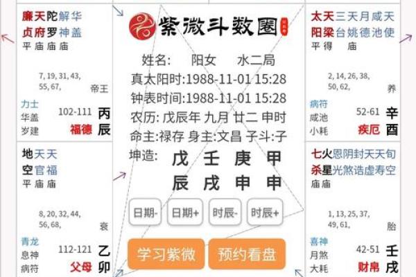 2025年4月22日申时女命紫微斗数全解盘