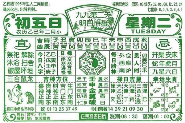 2025年4月23日未时女命紫微斗数全解盘