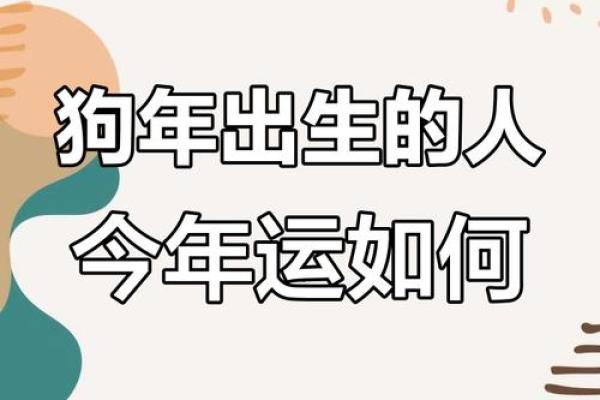 2025年属狗运势解析06年出生者未来运程全揭秘 2025年属狗运势解析06年出生者未来运程全揭秘