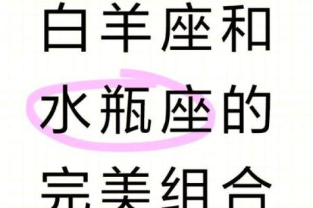 双子女和水瓶男谁吃定谁(双子女和水瓶男合适)