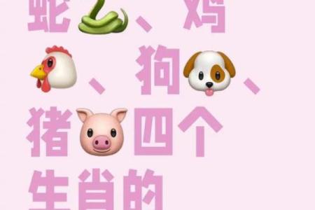 风花雪月是什么生肖(风花雪月是什么生肖谜底)