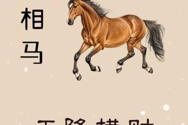 1978年属马是什么命五行属什么_1978年10月属马五行缺什么 1978年属马是什么命五行属什么_1978年10月属马五行缺什么