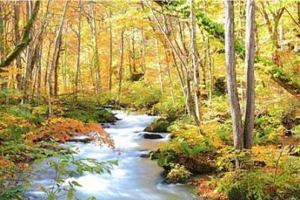 泥菩萨过河是什么生肖 泥菩萨过河是什么生肖