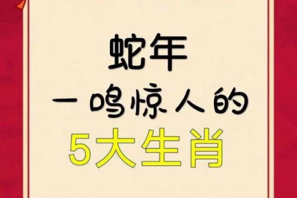 闭门造车打一生肖(闭门造车形容什么生肖)