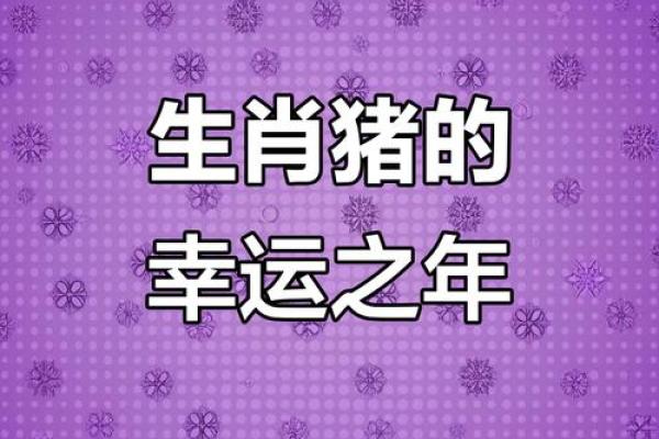 2025年属猪1971年出生的运势 2025年属猪1971年出生运势解析财运事业健康全预测 2025年属猪1971年出生的运势 2025年属猪1971年出生运势解析财运事业健康全预测