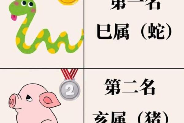 三角恋爱是什么生肖(三角恋爱指什么动物)