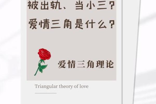 三角恋爱是什么生肖(三角恋爱指什么动物)