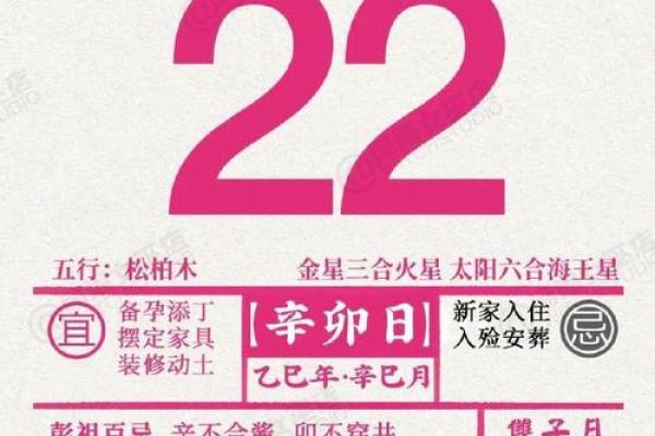 金牛座2025年每月运势