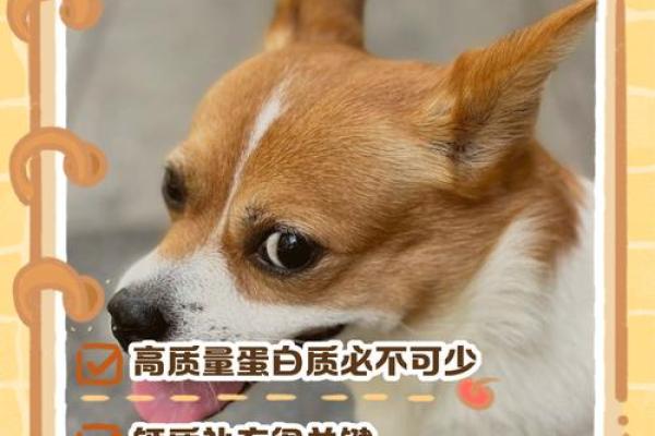 梦见狗下崽是什么意思