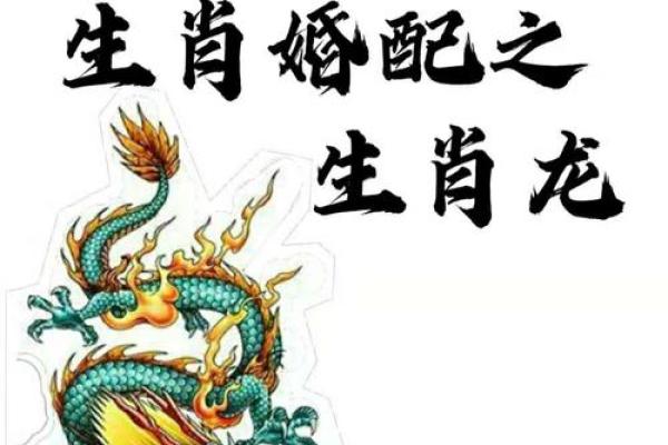 属龙跟属马的姻缘相配吗_男马女龙能过一辈子吗